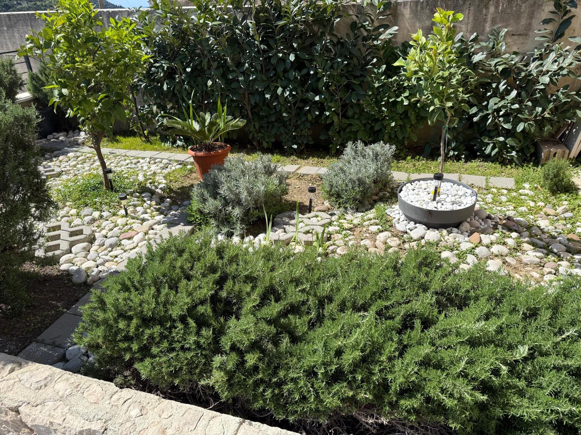 Lemon Tree Dubrovnik Apartments Extérieur photo