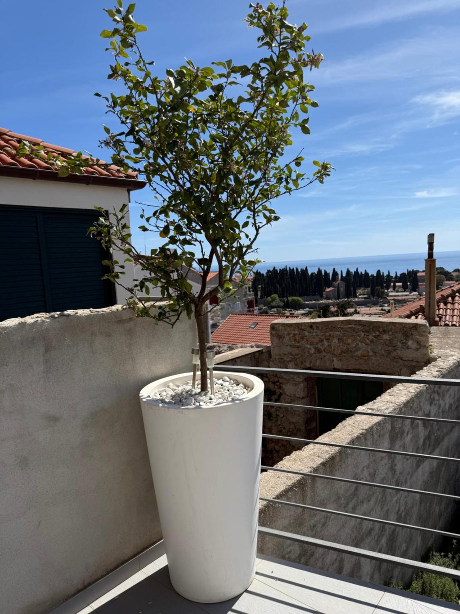 Lemon Tree Dubrovnik Apartments Extérieur photo